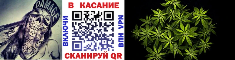 Лсд 25 Тавда