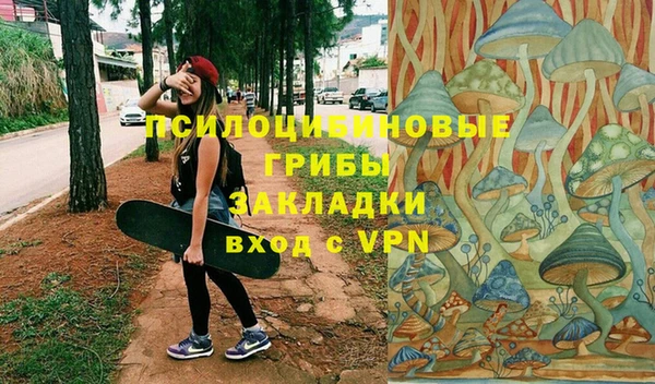 сатива Пролетарск