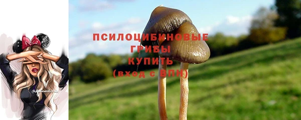 марихуана Приозерск