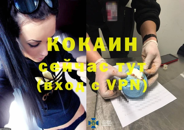 сатива Пролетарск