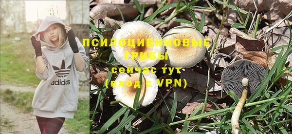 сатива Пролетарск