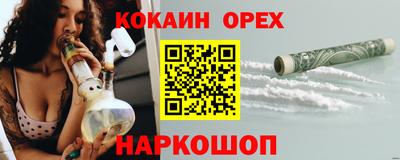 apvp Камышлов