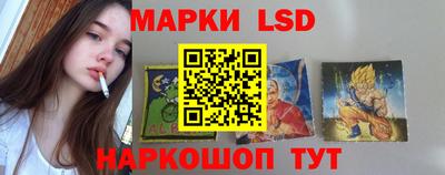 apvp Камышлов