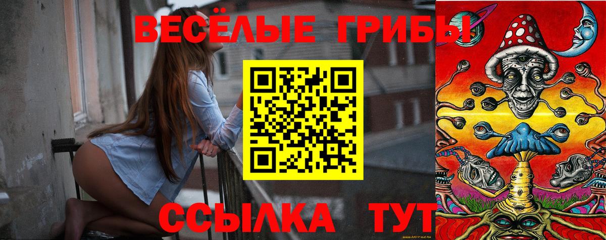 Галлюциногенные грибы прущие грибы  Вход с VPN  Тавда 