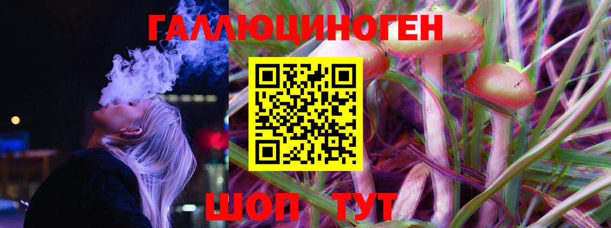 Псилоцибиновые грибы мухоморы Тавда